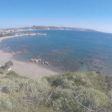 Alexander & - Adults Only