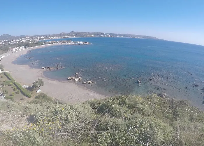 Alexander & - Adults Only